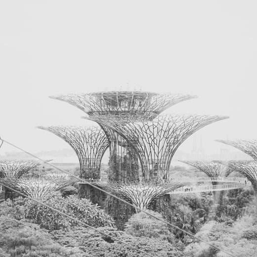 The tree-form structures of Gardens by the Bay, Singapore